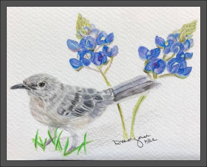 Mockingbird and Bluebonnet